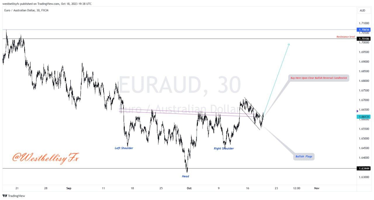 WestBellisyFX before and after trade (10)