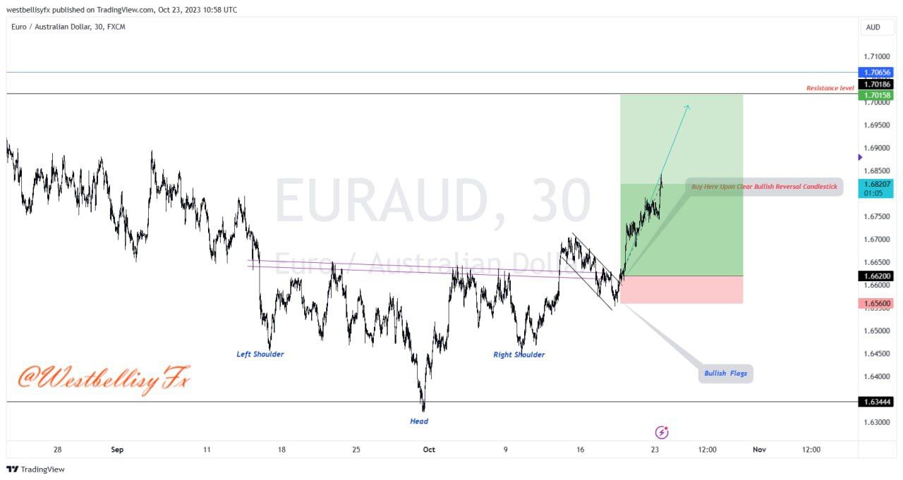 WestBellisyFX before and after trade (3)